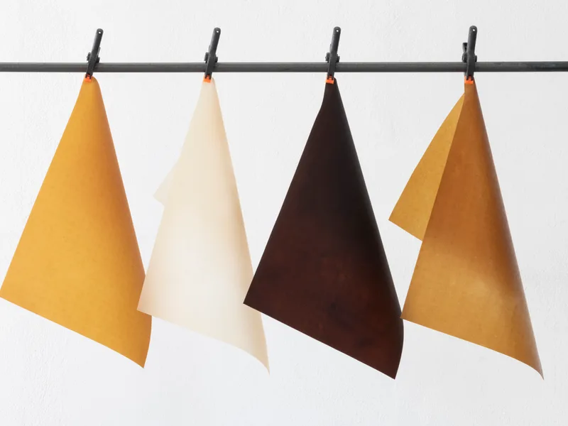 EPHEA Materials Chitin based translucent sheets 2 EPHEA 2022