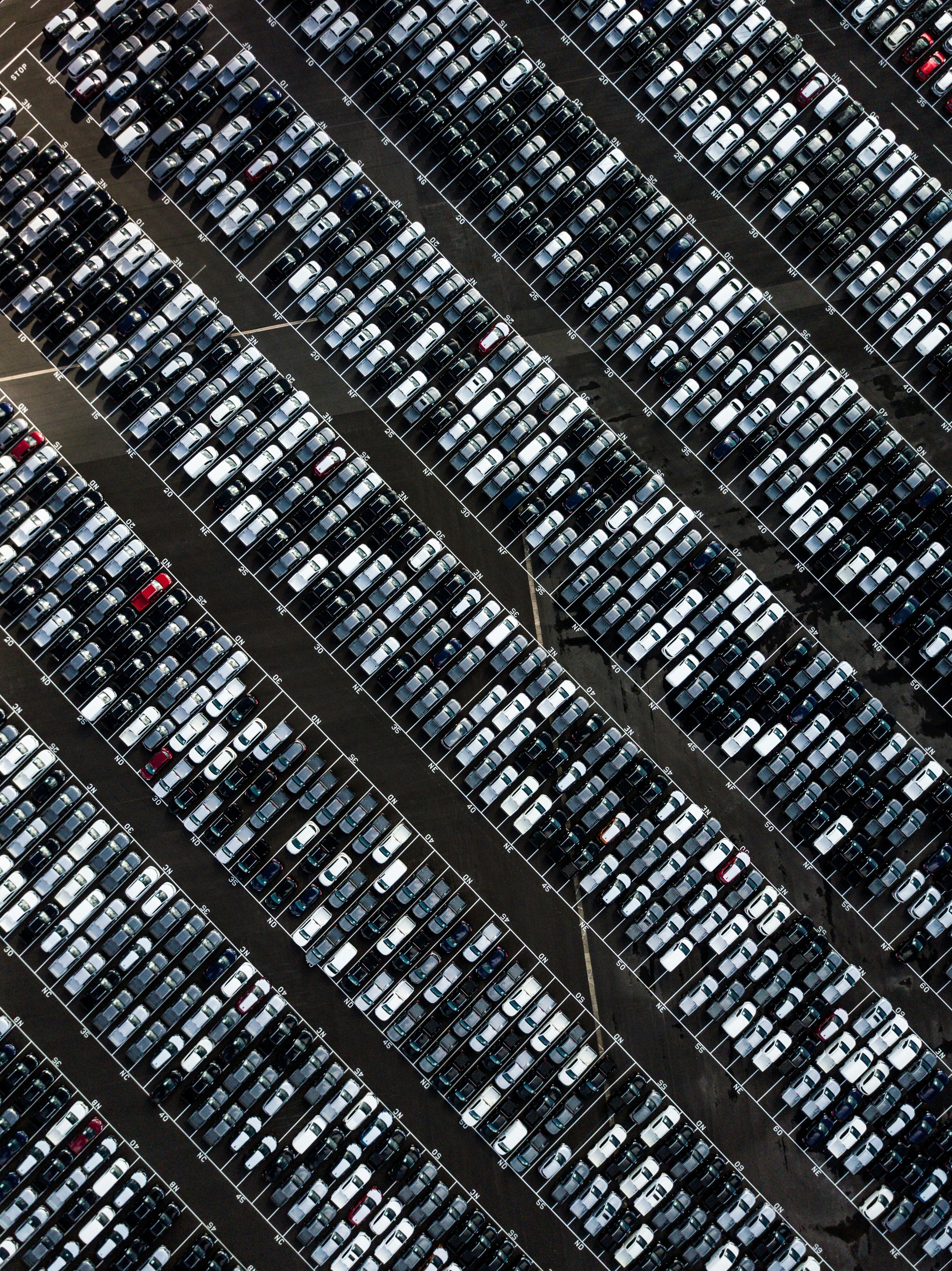 Ryan searle k1 AFA4 N8 O0g unsplash