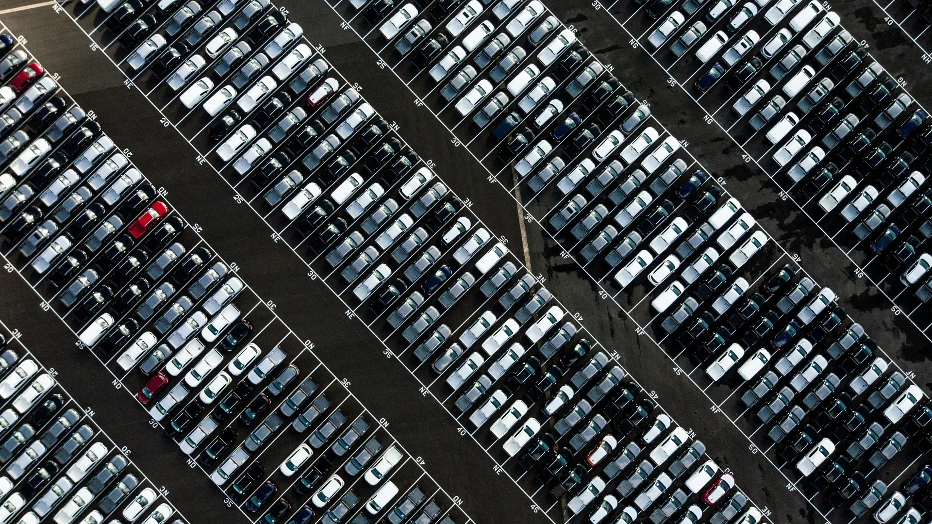 Ryan searle k1 AFA4 N8 O0g unsplash