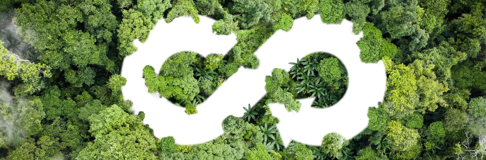 Meet the City Kreislaufwirtschaft