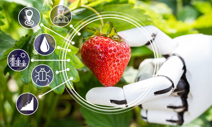 Meet the City Ernaehrungssysteme mit Zukunft das Essen von Morgen